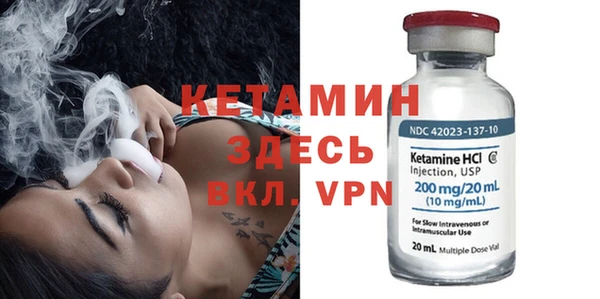 прущие грибы Краснотурьинск