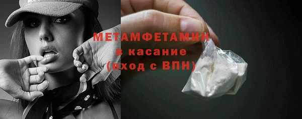 прущие грибы Краснотурьинск