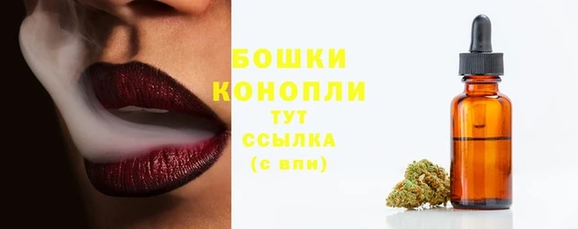 прущие грибы Краснотурьинск