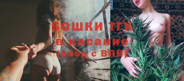 прущие грибы Краснотурьинск