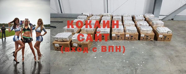 прущие грибы Краснотурьинск