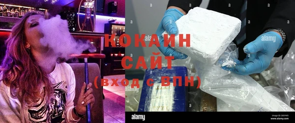 прущие грибы Краснотурьинск