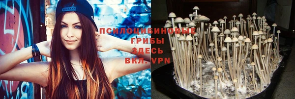 прущая мука Краснослободск
