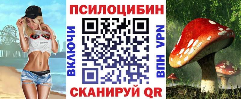Псилоцибиновые грибы MAGIC MUSHROOMS  Купить  Вологда 